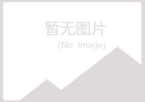 河池听寒造纸有限公司